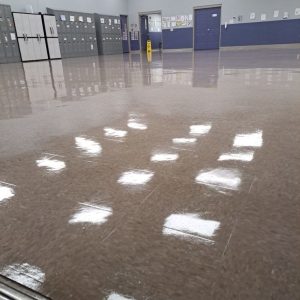 download-Lf1277UbWhwKuNyo